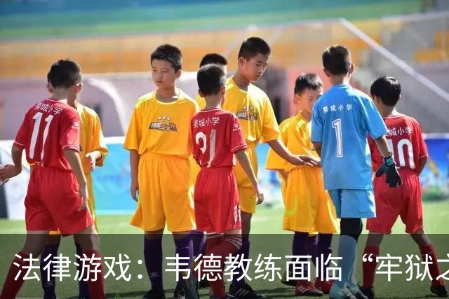 法律游戏：韦德教练面临“牢狱之灾”的逼问