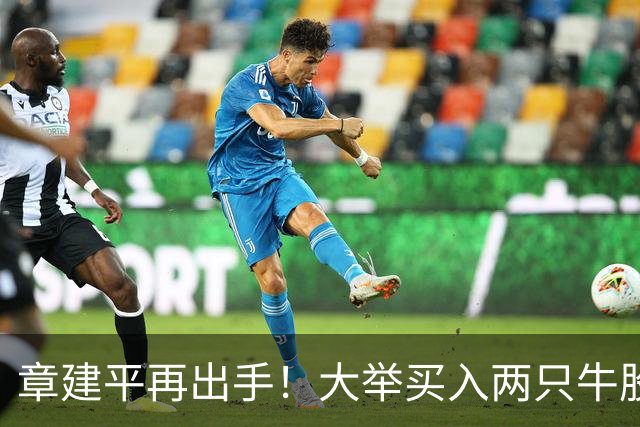章建平再出手！大举买入两只牛股